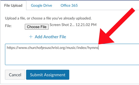 Image shows where to place the url. Underneath the button "Choose File" and "+ Add Another File" is a text box. The image shows a url placed in the text box, indicating this is what you need to do.