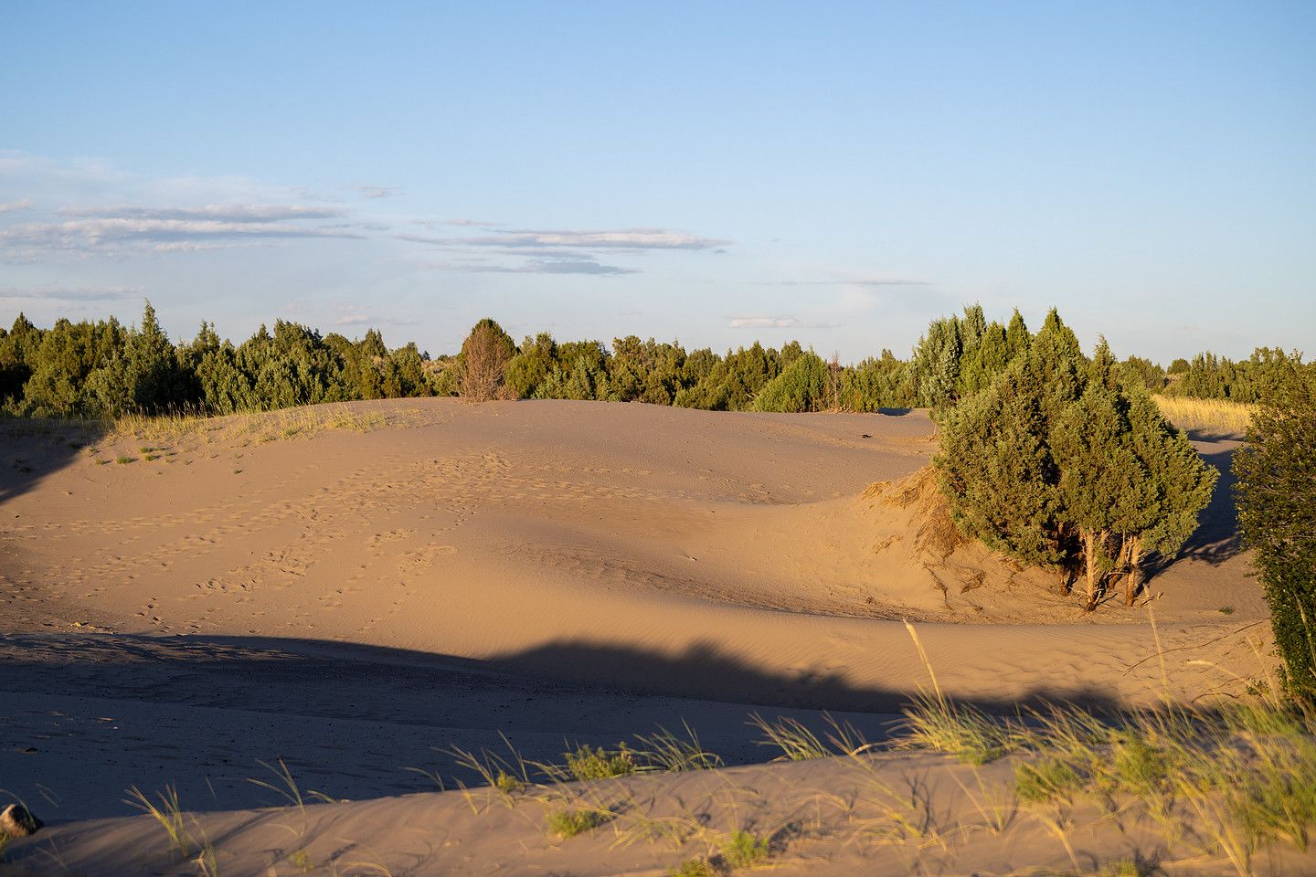 The St. Anthony Sand Dunes in evening light