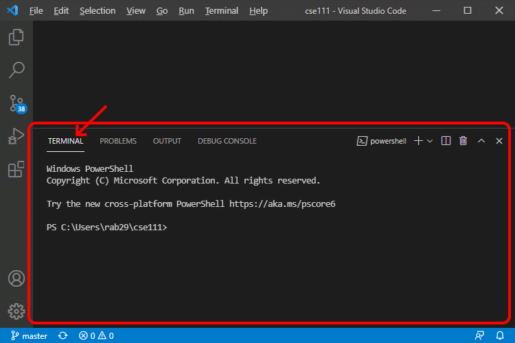 A screenshot of VS Code showing an open terminal frame