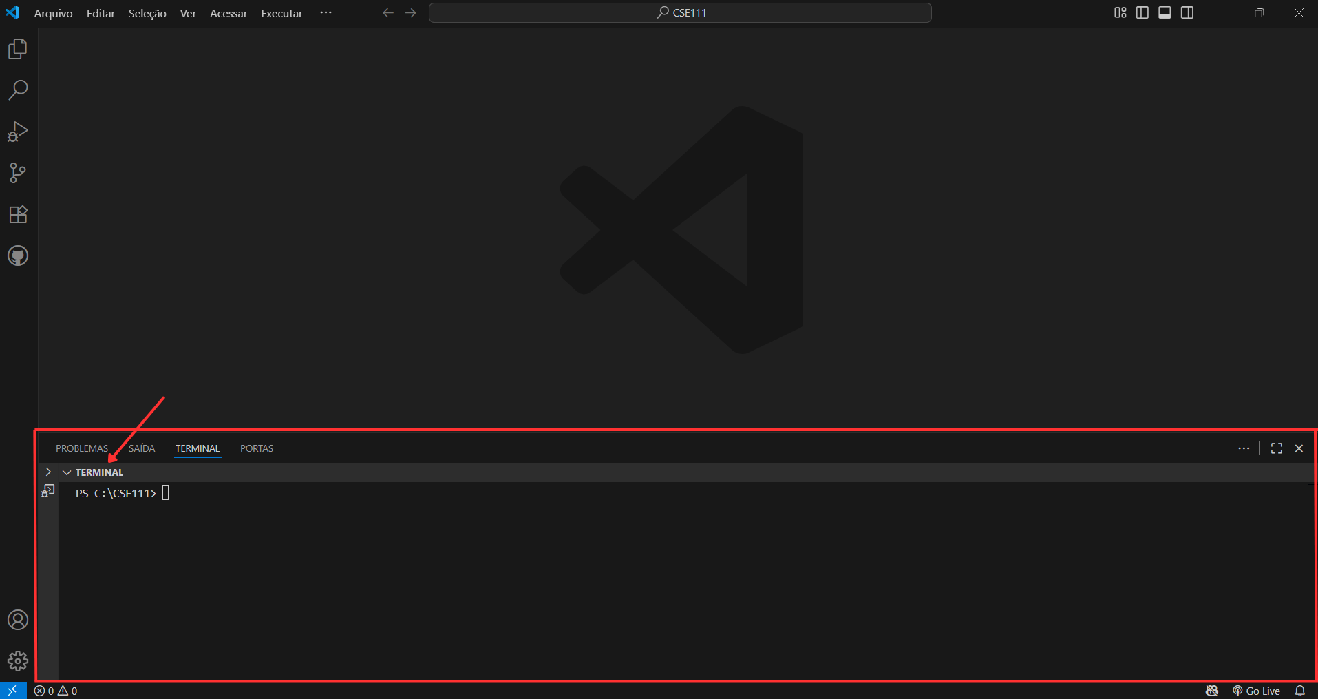 Uma captura de tela do VS Code mostrando uma janela do terminal aberto