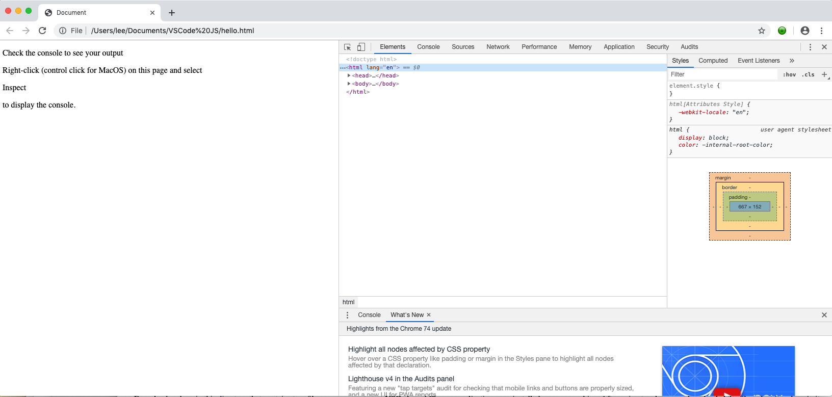 a view of the developer tools