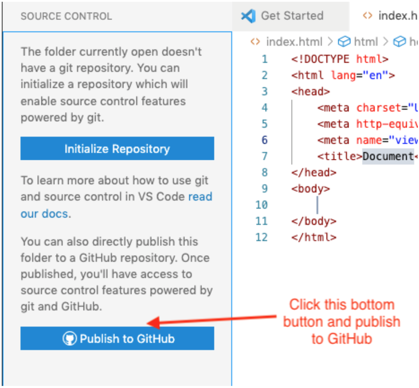 Source Control Icon in VS Code