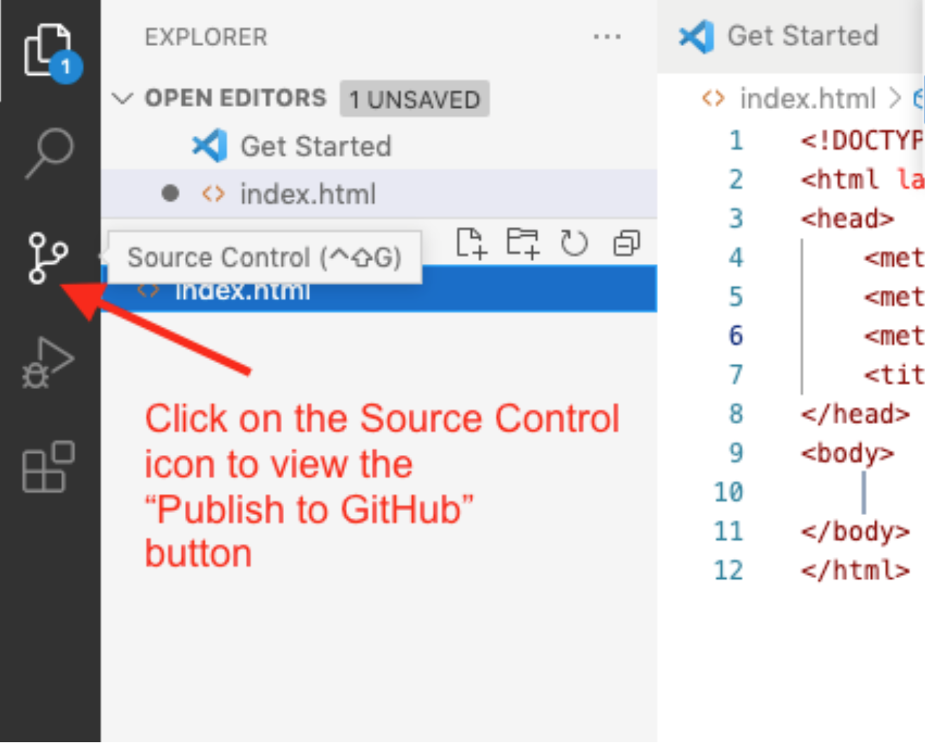 Source Control Icon in VS Code