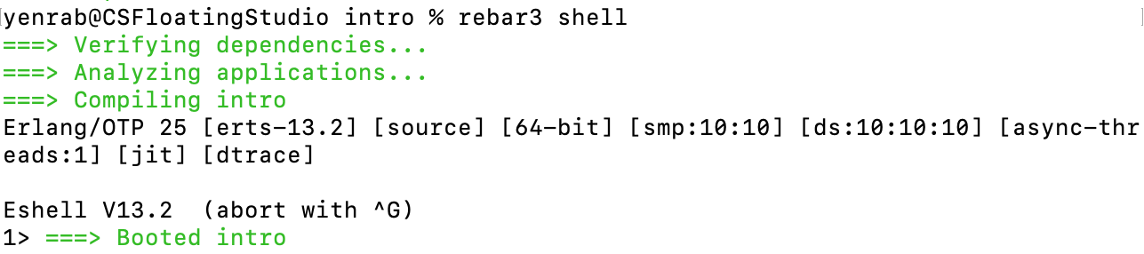 a view of the running REPL