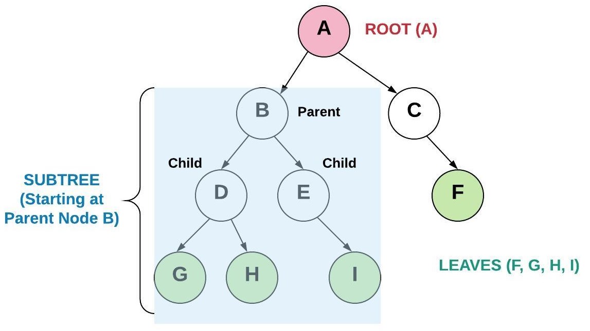 Shows a Binary Tree where the top (node A) is called the root, the nodes that do not conenct to any other nodes are called leaves (node F, G, H and I).  Node A connects to nodes B and C.  Node B connects to node D and E.  Node C connects only to node F.  Node D connects to nodes G and H.  Node E connets to Node I. A subtree is formed from a any parent node such as parent node B and includes all of the children nodes D, E, G, H, and I.