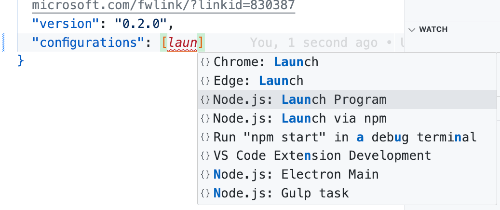 Node js launch program option