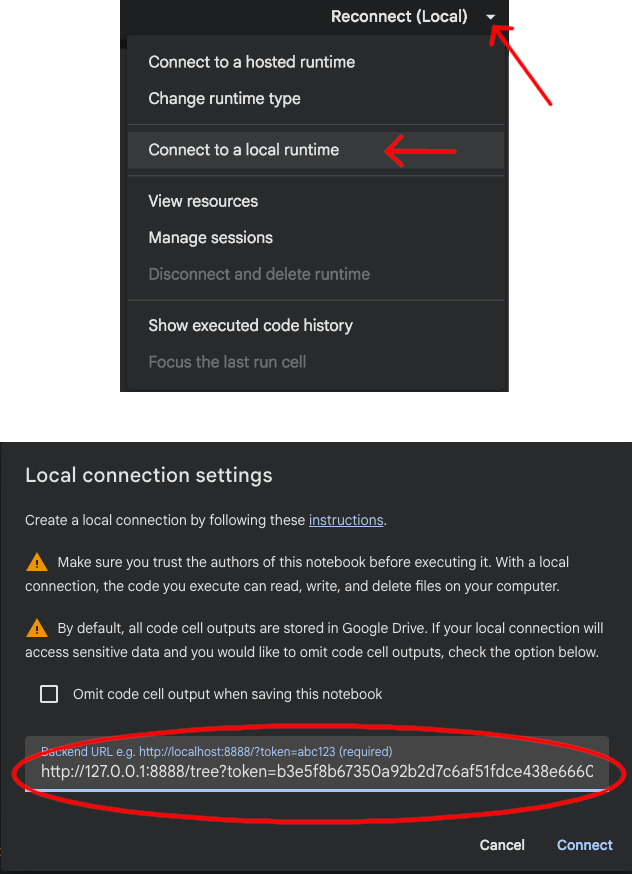 Paste local connection URL into colab under server URL