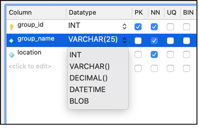 ERD select datatype