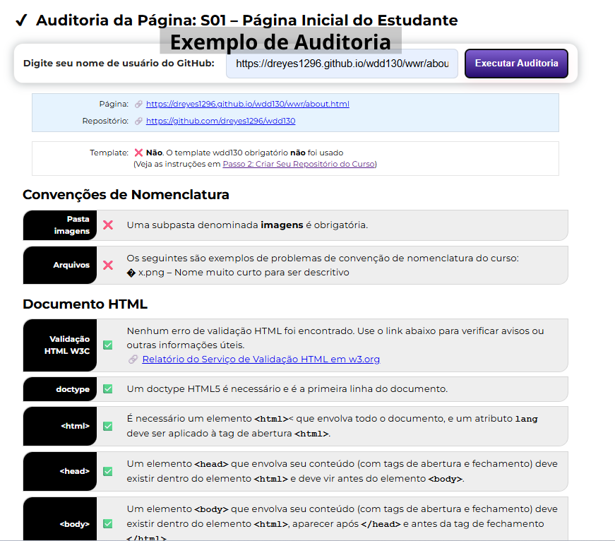 Exemplo de resultado da ferramenta de Auditoria de Página