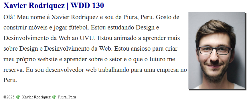 Exemplo de imagem de perfil flutuante