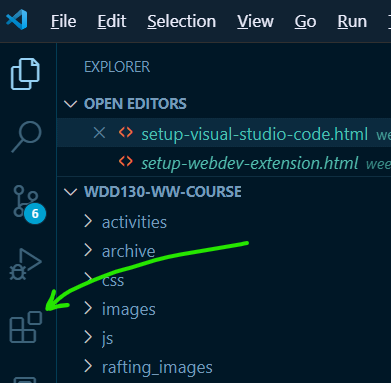 VS Code Extension Icon in the Activity Bar