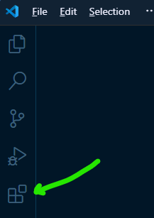 VS Code Extension Icon in the Activity Bar