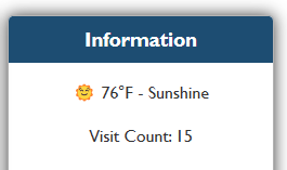 Weather Information Card Example