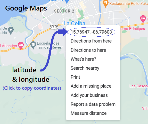 Google maps location information example