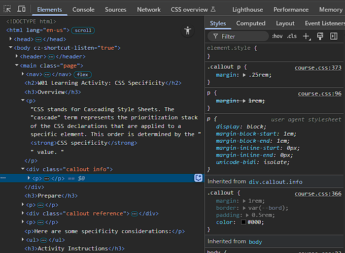 DevTools Styles panel